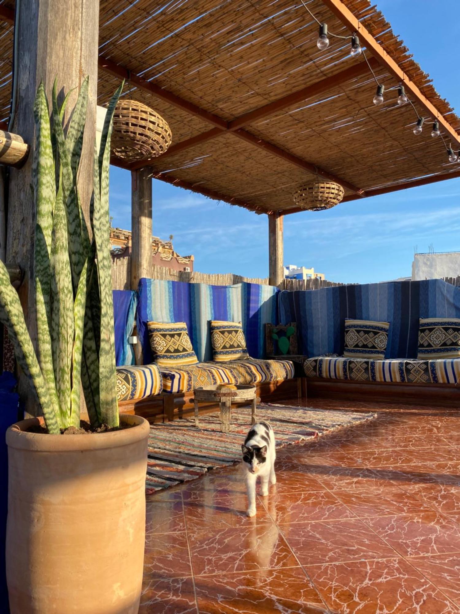 Albergue Azura Surf Tamraght Exterior foto